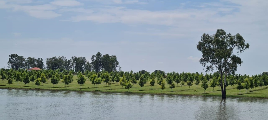 4 Bedroom Property for Sale in Oranjeville Free State